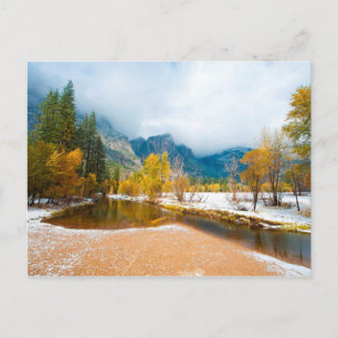 Schneewaldlandschaft Postkarte