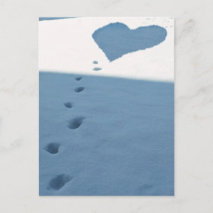 Schneewanderungen Postkarte