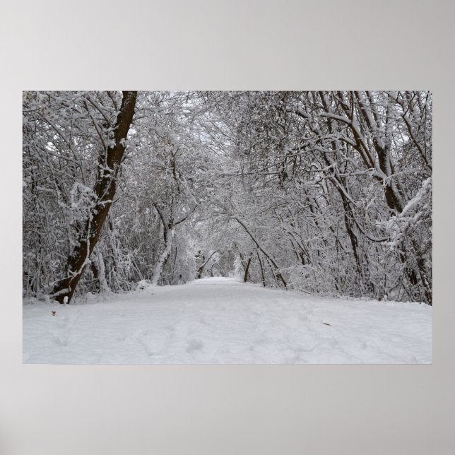 Schneeweg Poster (Vorne)