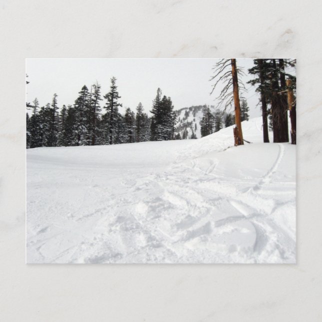 Schneewege Ski & Snowboard Postkarte (Vorderseite)