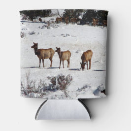 Schneeweih kann kühler werden dosenkühler