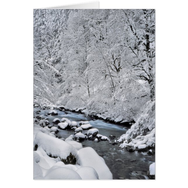 Schneeweißer Bach landschaftlich, Oregon (Vorne)