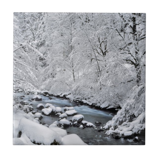 Schneeweißer Bach landschaftlich, Oregon Fliese (Vorderseite)