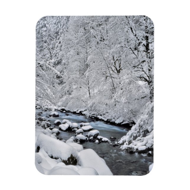 Schneeweißer Bach landschaftlich, Oregon Magnet (Vertikal)