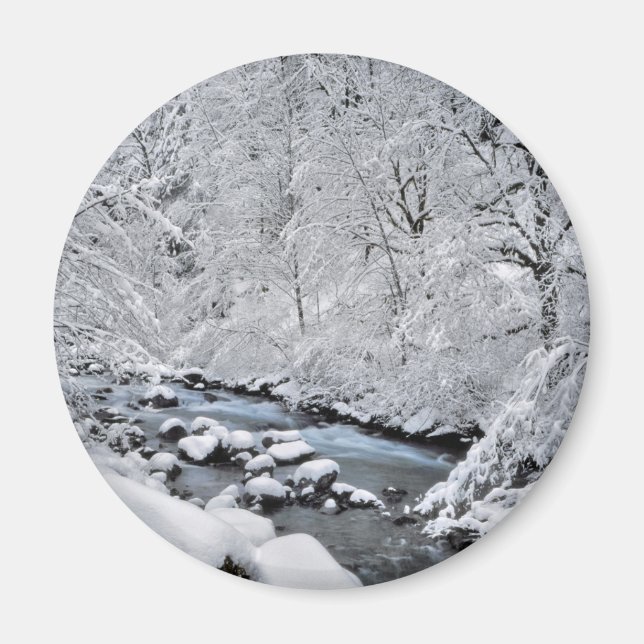 Schneeweißer Bach landschaftlich, Oregon Magnet (Vorne)