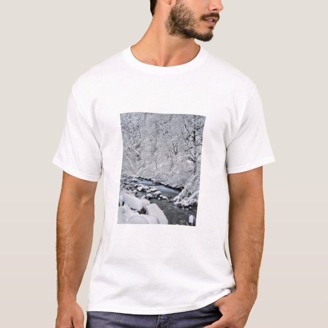 Schneeweißer Bach landschaftlich, Oregon T-Shirt (Vorderseite)