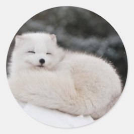 Schneewetter Tiefschneeeis Arctic Fox Runder Aufkleber