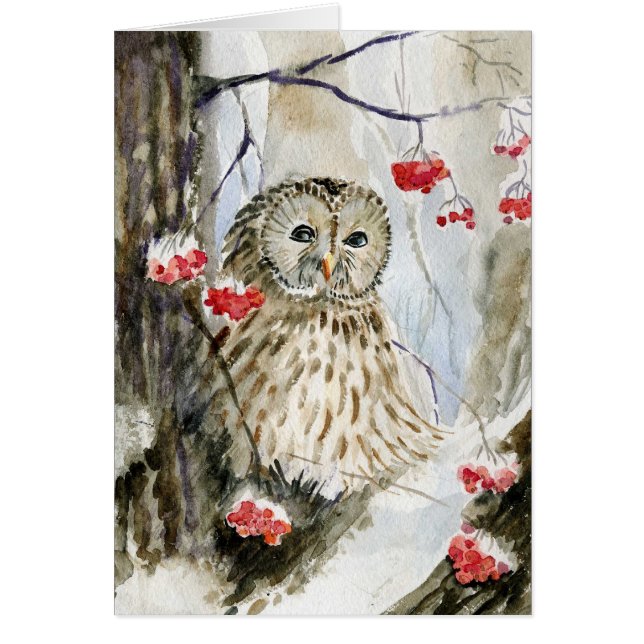 Schneewinter der abgehaltenen Eule (Vorne)