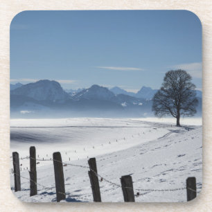 Schneewinterland Landschaft Foto Getränkeuntersetzer