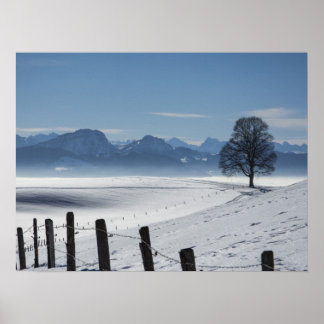 Schneewinterland Landschaft Foto Poster