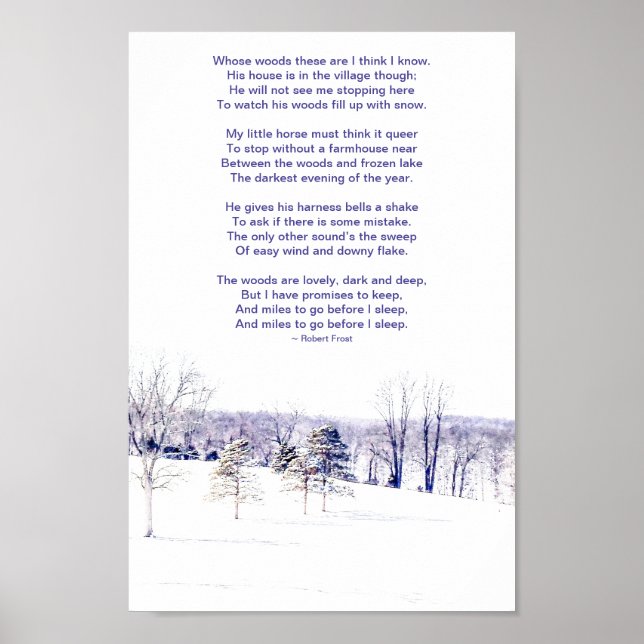 Schneewinterlandschaft Poster (Vorne)
