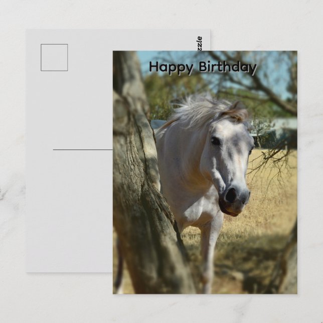 Schneewittchen Das Pferd, Geburtstagskarte Postkarte (Vorne/Hinten)