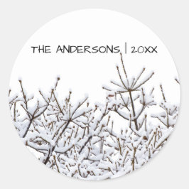 Schneezweige - Circle Sticker