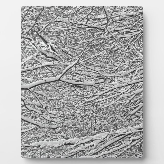 Schneezweige Fotoplatte (Vorderseite)
