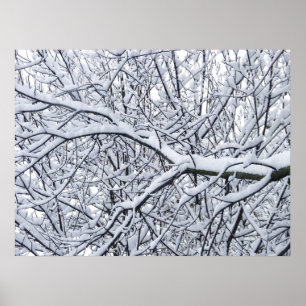 Schneezweige Poster