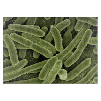 Schneidebrett der Mikroben-Hoch-Res