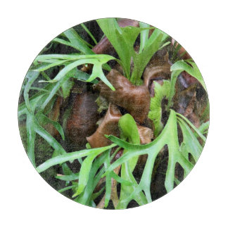 Schneidebrett - Staghorn Farn