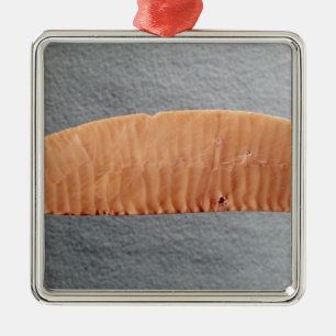 Schneider Silbernes Ornament
