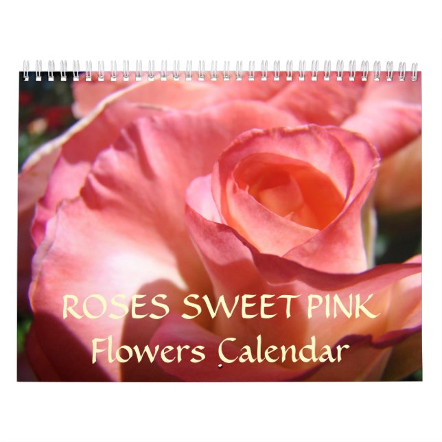 SCHNEIZEN ROSE Kalender  ROSE BLUME (Titelbild)