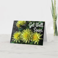 Schnell bei Dahlia Lakeview Glow #1 Karte