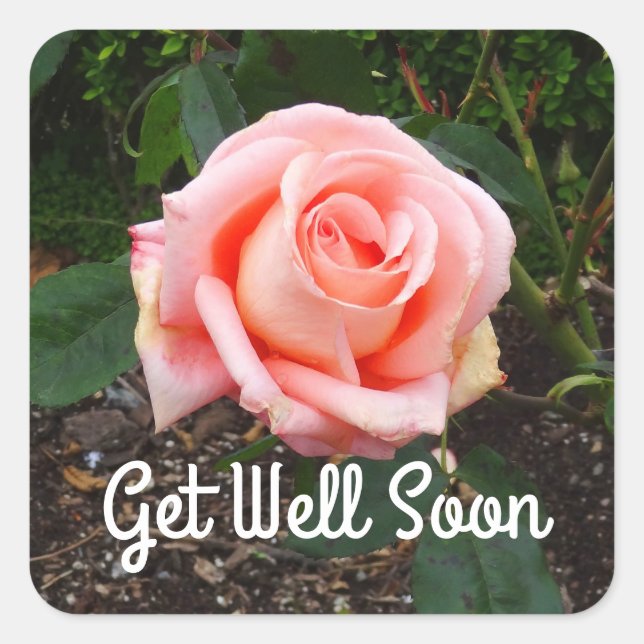 Schnell folklore Rose #1 Stickers (Vorderseite)