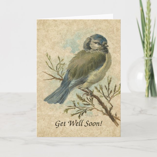 Schnell gut, Vintager Bluetit Bird Karte (Vorderseite)