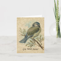 Schnell gut, Vintager Bluetit Bird