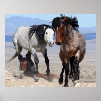 Schnell und wütend poster