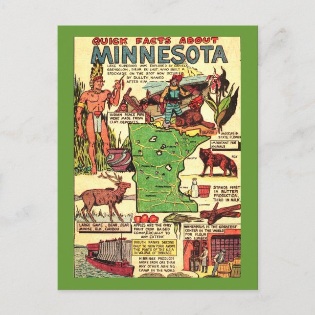 Schnelle Fakten zu Minnesota Postkarte (Vorderseite)