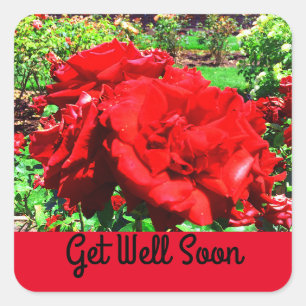 Schnelle Rote Rose #1-Stickers Quadratischer Aufkleber