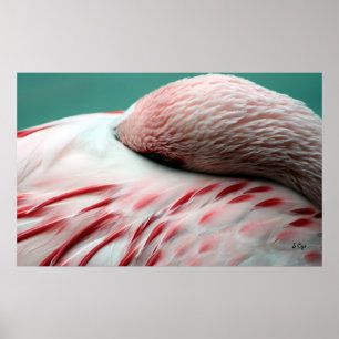 Schneller Schlaf, S Cyr Poster