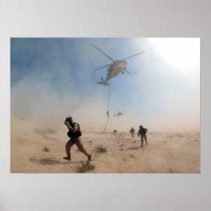 Schnelles Roping Poster