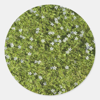 Schnellheber Runder Aufkleber