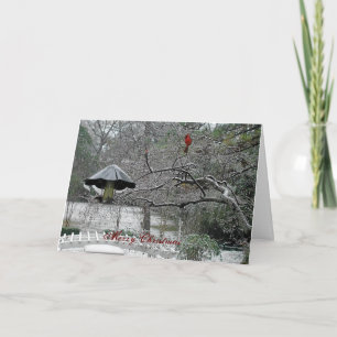 Schnevögel 5 feiertagskarte