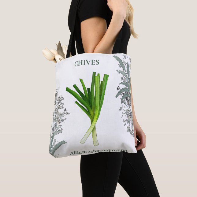 Schnittlauch — Allium schoenoprasum (Von Nahem)