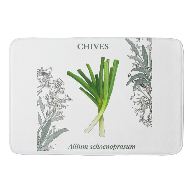 Schnittlauch — Allium schoenoprasum Badematte (Vorderseite)