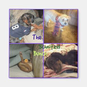 Schnitzel Bunch Magnet