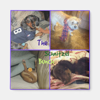 Schnitzel Bunch Magnet