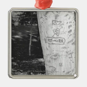 Schnitzen auf Birkenbaumstamm B&W Ornament Aus Metall