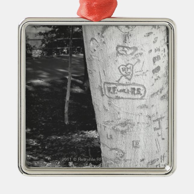 Schnitzen auf Birkenbaumstamm B&W Ornament Aus Metall (Vorne)