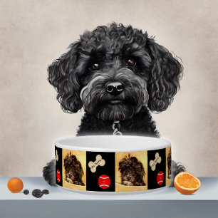 Schnoodle Dose mit Knochen und Ball Napf