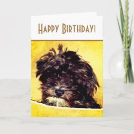 Schnoodle Hund Bright Geburtstagskarte Karte