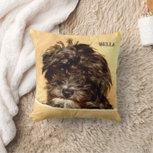 Schnoodle-Hund-Wurfkissen mit Text Kissen