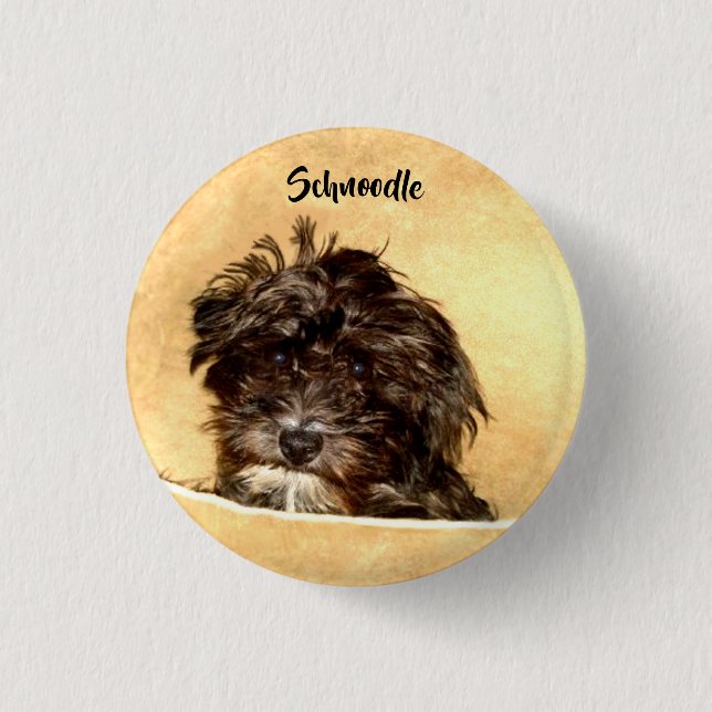 Schnoodle-Hunde-Button Button (Vorderseite)