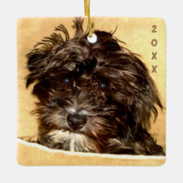 Schnoodle Keramik Ornament
