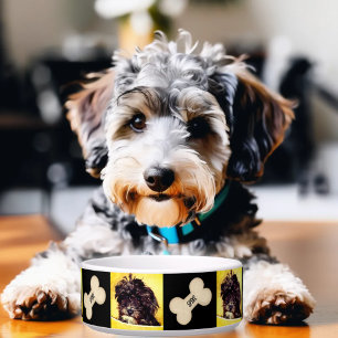 Schnoodle Mittlere Hundeschüssel Personalisiert Napf