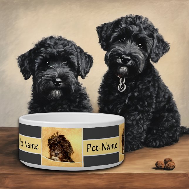 Schnoodle Personalisiert Dog Bowl Napf (Von Creator hochgeladen)