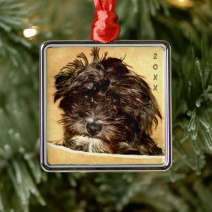 Schnoodle Premium Square Ornament Aus Metall