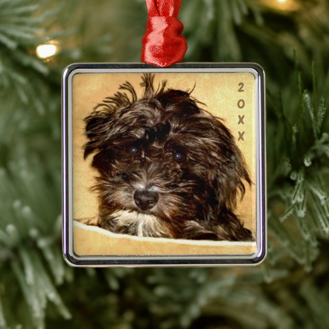 Schnoodle Premium Square Ornament Aus Metall (Baum)
