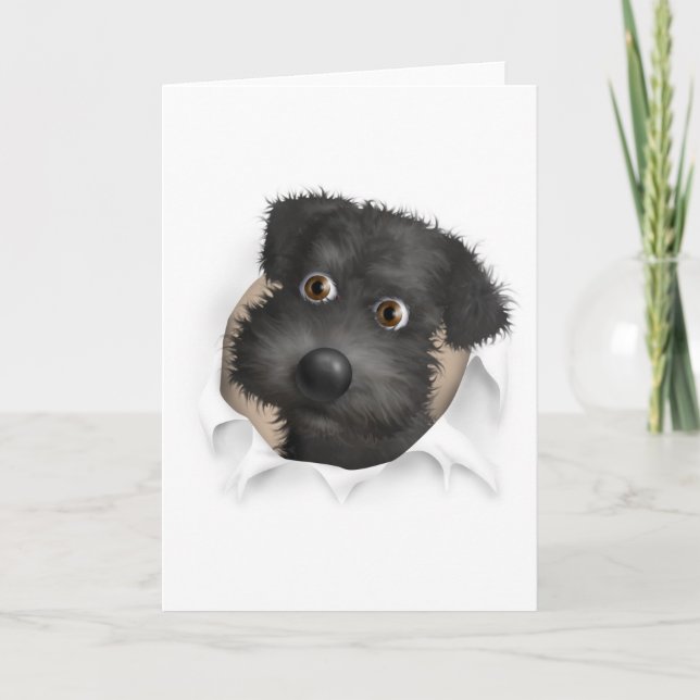 Schnoodle (schwarz) Buckel Karte (Vorderseite)